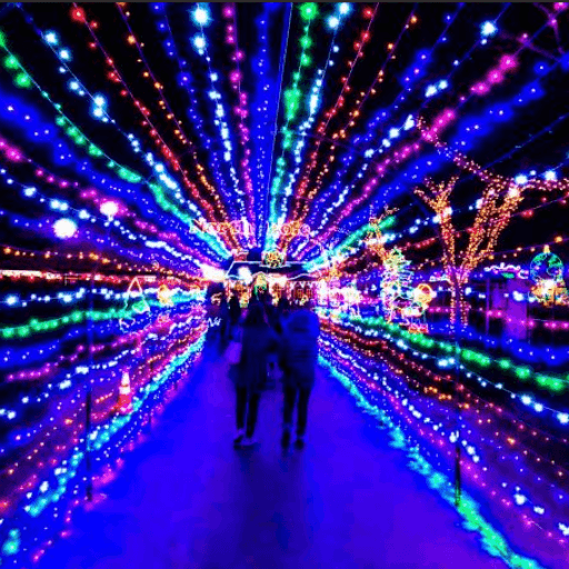 Xmas Light Trail Suppliers