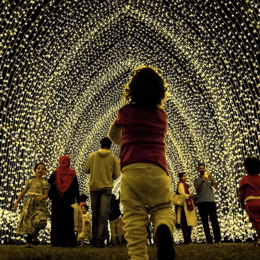 Xmas Lights Trail Supplier