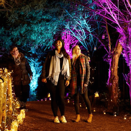 Xmas Wonderland Light Trail Suppliers